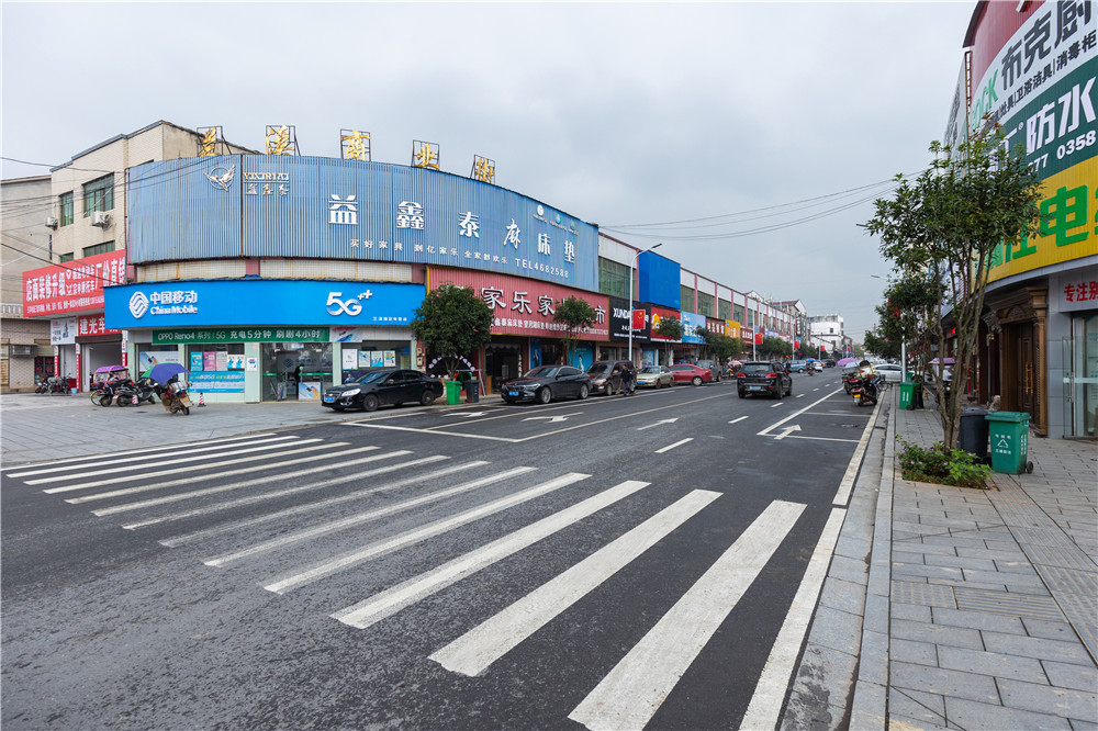 蘭溪楓林大道（北）